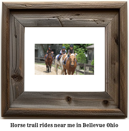 horse trail rides near me in Bellevue, Ohio